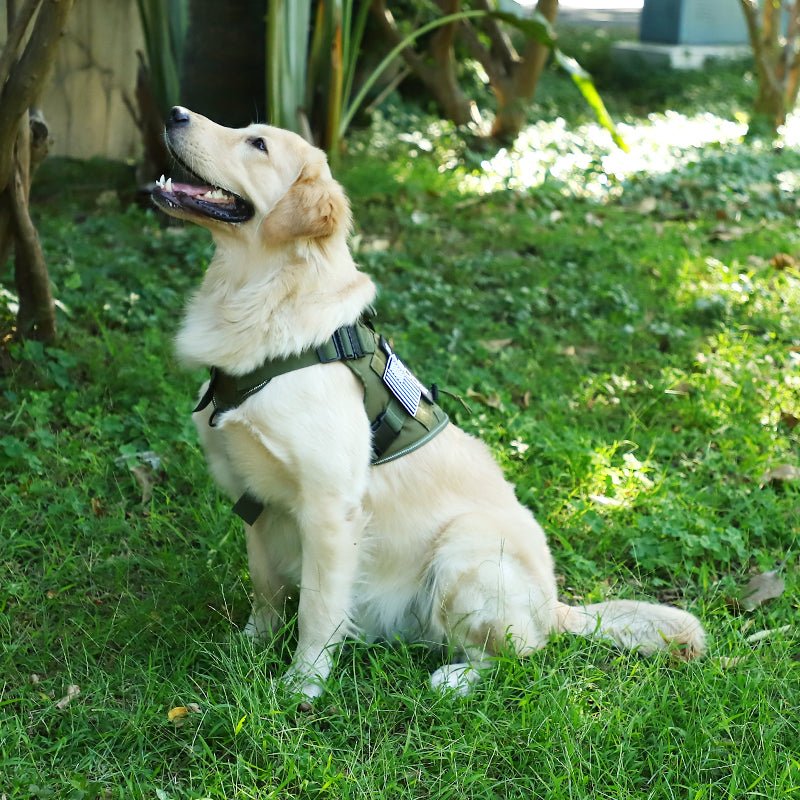 SABOOS Service Dog Harness for Large Dog, Military Mesh Breathable Dog Lift Harness with Molle Vest, Tactical Dog Harness - Saboostactical